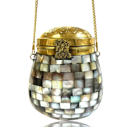 Mother of pearl Bag