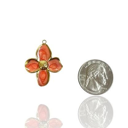 Remi Charm