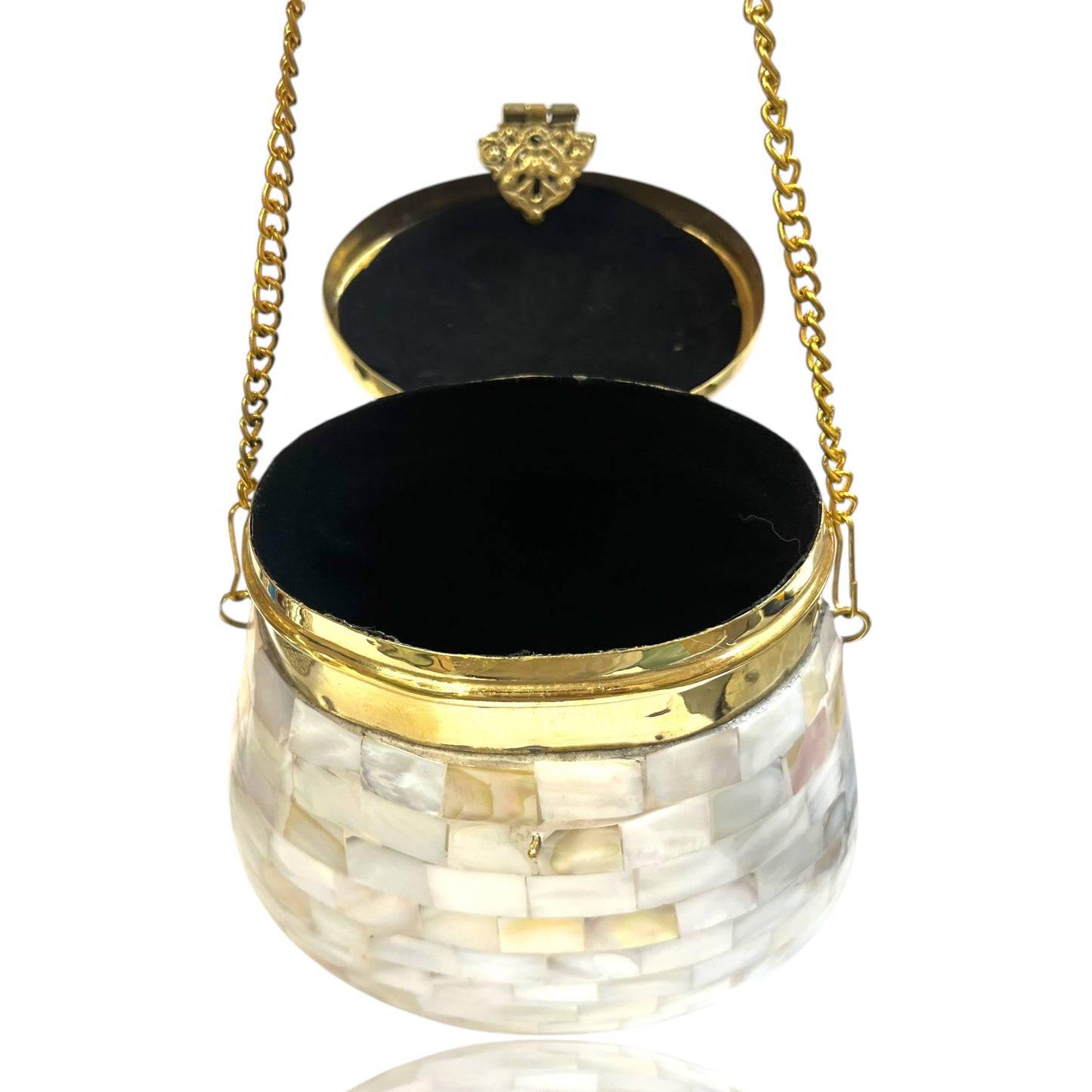 Mother of pearl Bag