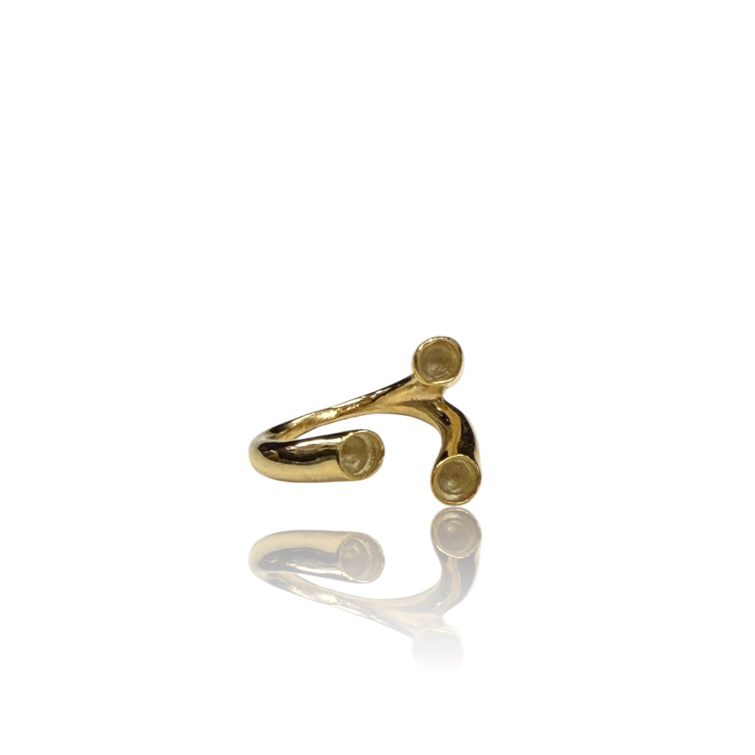 Fluer Ring