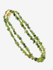 Olive Bloom